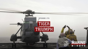Marine Minute: Tiger Triumph