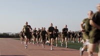 Alpha Company 100%
