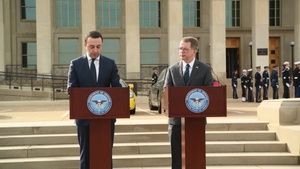DSD Georgia BILAT