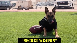 Secret Weapon