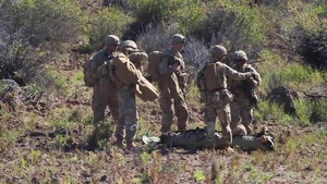 2IBCT Fire Support Coordination Exercise