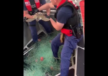 Coast Guard releases rescued sea turtle near South Padre, Texas