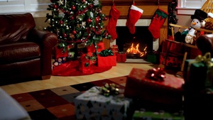 Holiday safety, 30 sec