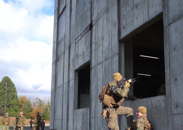 Forest Light Middle Army B-Roll