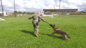 Sky Warrior Swap - Military Working Dog Handler - Episode 3 of 3