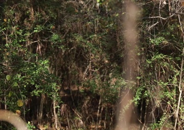 525th EMIB Soldiers and equipment