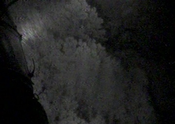 Coast Guard locates, hoists missing hunter on Ossabaw Island