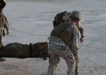Casualty Evacuation Steel Knight 2020