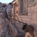 Military Working Dogs, handlers conduct joint training at NTC