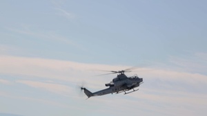 Vipers Storm the Sky