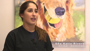 On The Job Vet Clinic