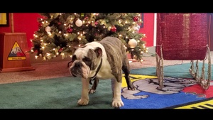 Happy Holidays from Bulldog Brigade