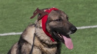 Rendi visits Jordan, brings holiday cheer
