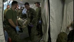 Surgical Company Training Triage
