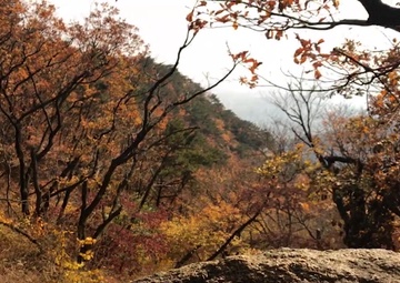 AFN Tries: Bukhansan National Park