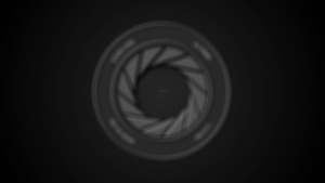 Shutter Intro