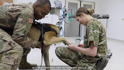 Animal Care Specialist shines during Kosovo deployment