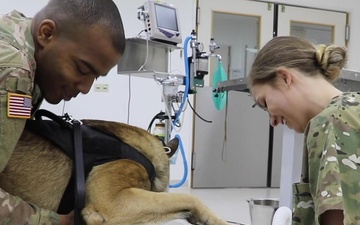 Animal Care Specialist shines during Kosovo deployment