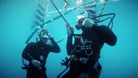 Journey to Becoming a U.S. Army Diver