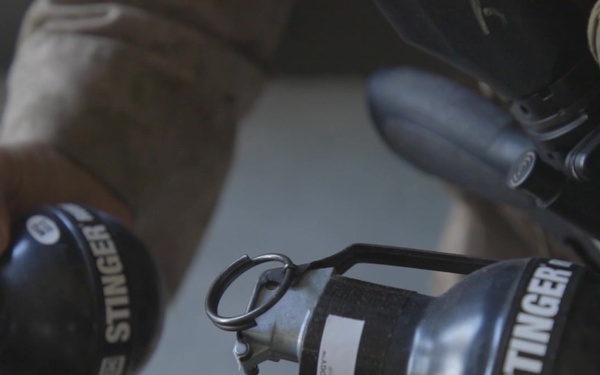 Reinforcing the BEC- Day 4