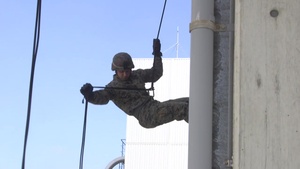 Helicopter Rope Suspension Techniques