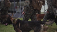 H&S BN Marches in Honor of Martin Luther King Jr.