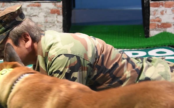 Spotlight - MAC Lionel Reyes