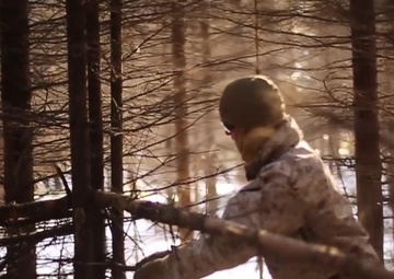 Northern Viper Survival Training