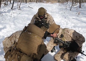 Northern Viper In Progress Stringer