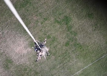 Special Insertion and Extraction Training