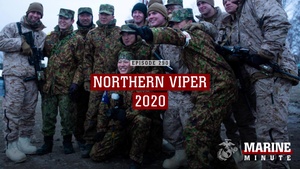 Marine Minute: Northern Viper 2020