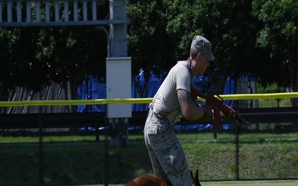 2019 PACOM Top Dog