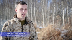 Northern Viper Introduction