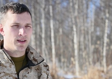 Northern Viper Introduction