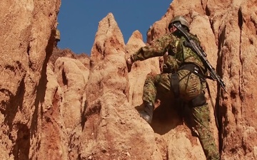 Iron Fist 2020: US Marines &amp; JGSDF Assault Climbers Training