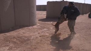 B-Roll MWD Agadez, Niger