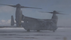The Osprey have Landed