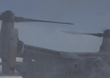 The Osprey have Landed