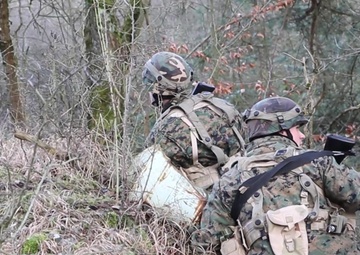Armed Forces of Bosnia participate in Combined Resolve XIII