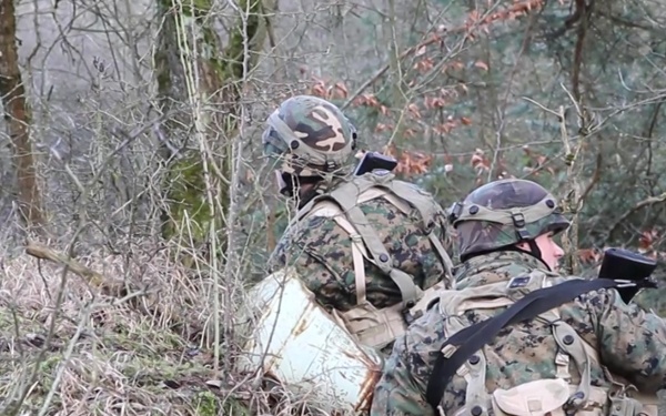 Armed Forces of Bosnia participate in Combined Resolve XIII