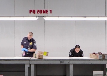 Imported Flower Inspections at the Port of Miami