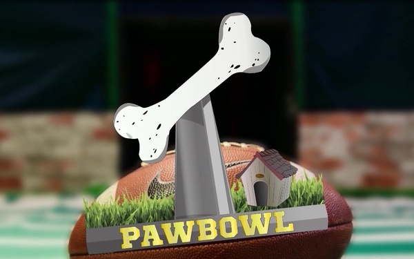 PawBowl 2020