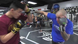 MMA