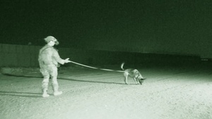 B-Roll of the 409th ESFS MWD training at Night