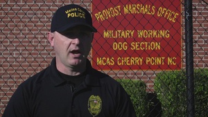 Military Working Dogs Appreciation Week: Controlled Aggression Training