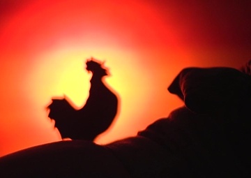 Daylight Savings Time