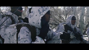 Glacial Descent