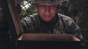 2019 Easter: Oh the Hunt