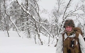 Marines head to cold-weather training