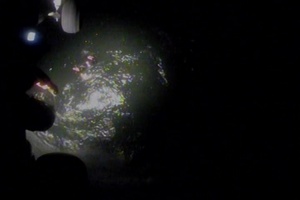 Coast Guard rescues 2 people, 1 dog from vessel off Oregon coast